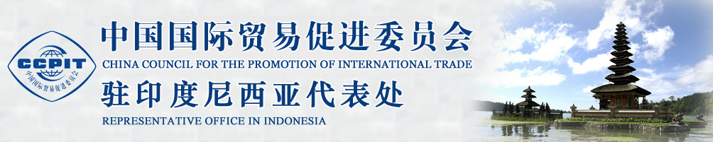 中國國際貿易促進委員會